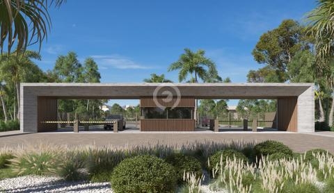 Imagem do lançamento