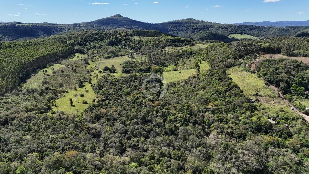 Área no Quintas