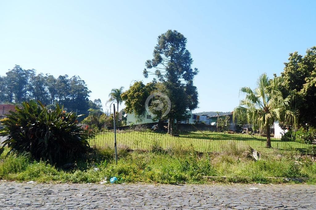 Terreno / Lote no União