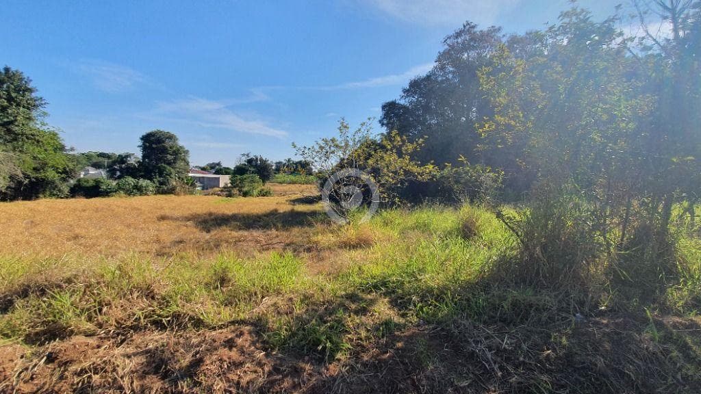 Terreno / Lote no Vista Alegre