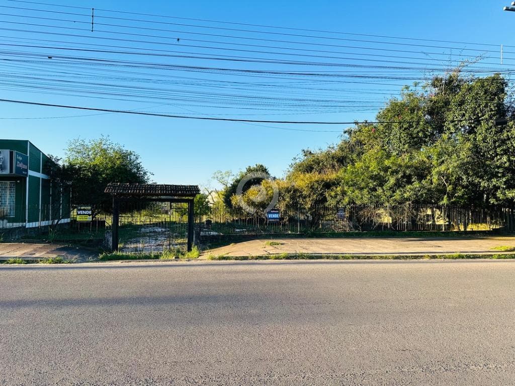 Terreno / Lote no Campo Grande