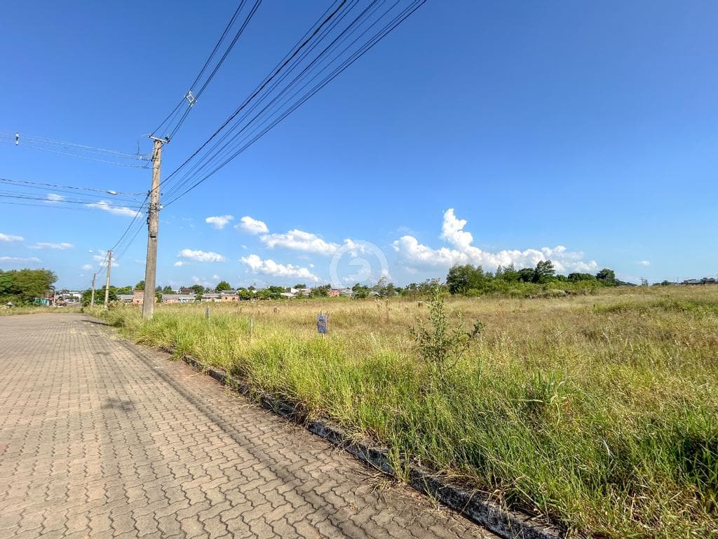 Terreno / Lote no Campo Grande