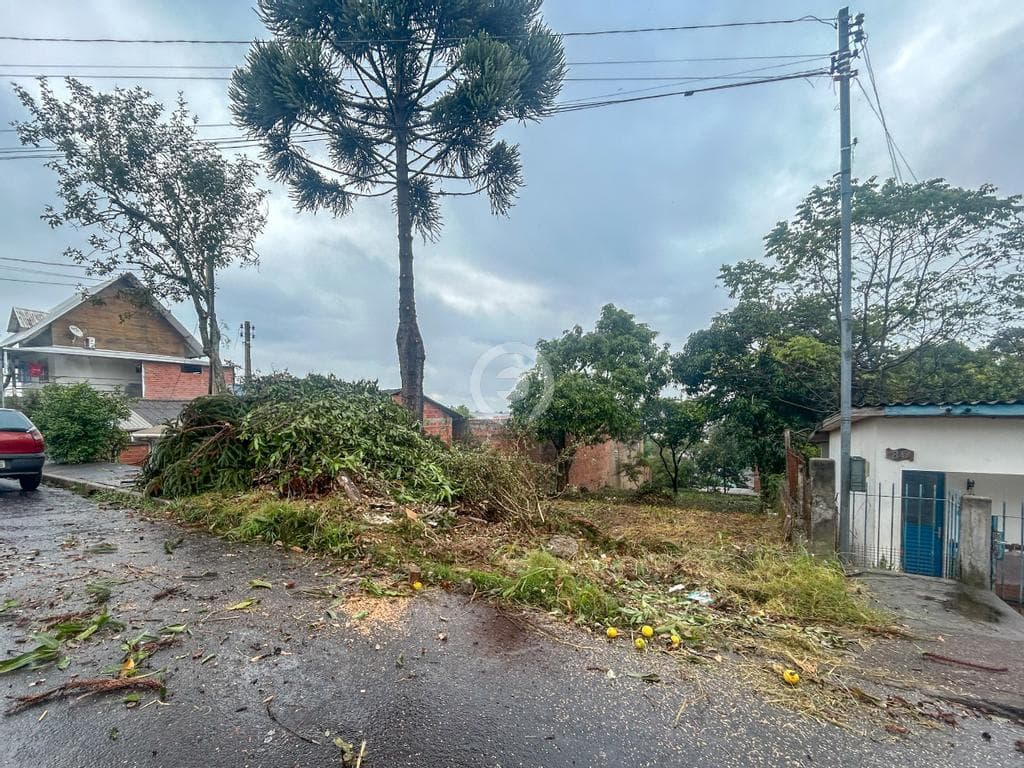 Terreno / Lote no Boa Saúde