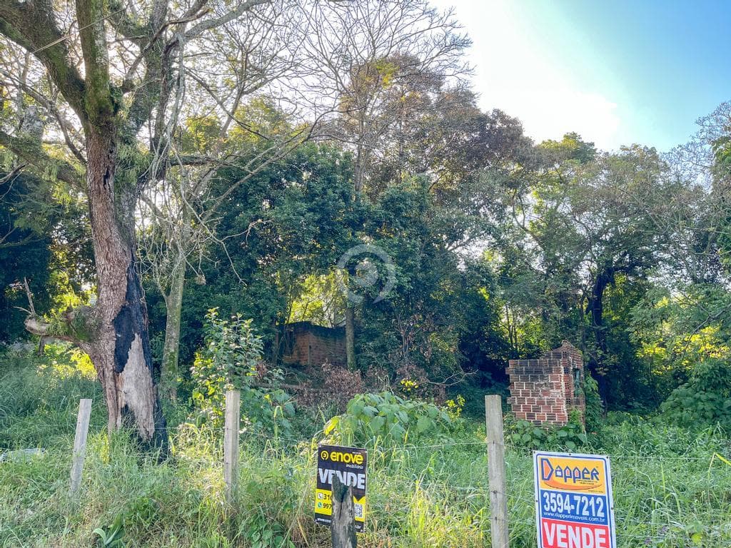 Terreno / Lote no Rondônia