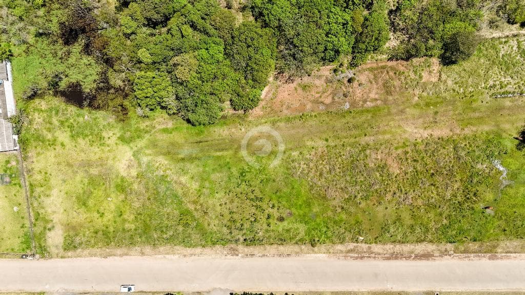Terreno / Lote no Campo Grande