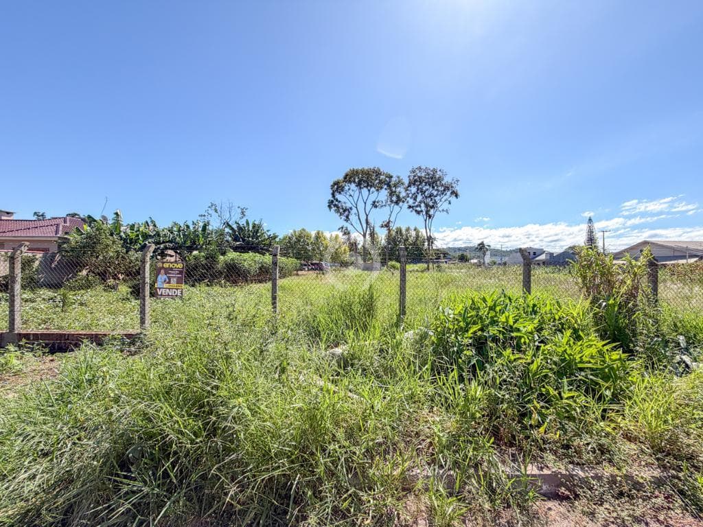Terreno / Lote no Lira