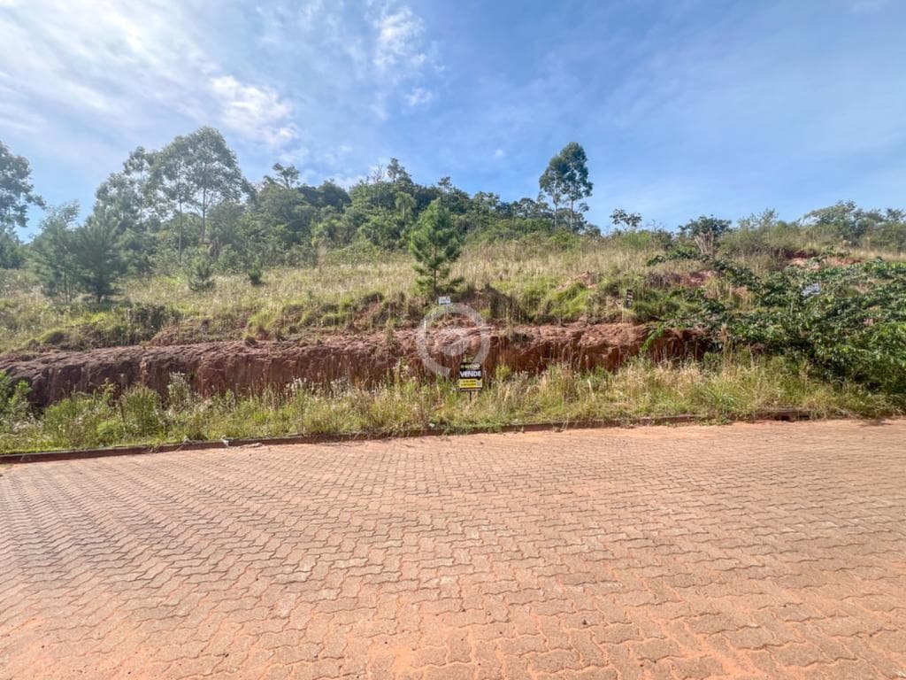 Terreno / Lote no Floresta