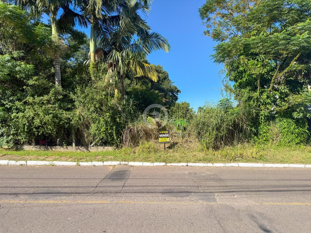 Terreno / Lote no Hamburgo Velho