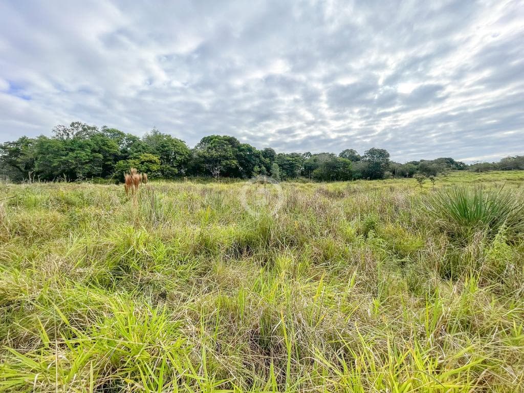 Terreno / Lote no Campo Grande