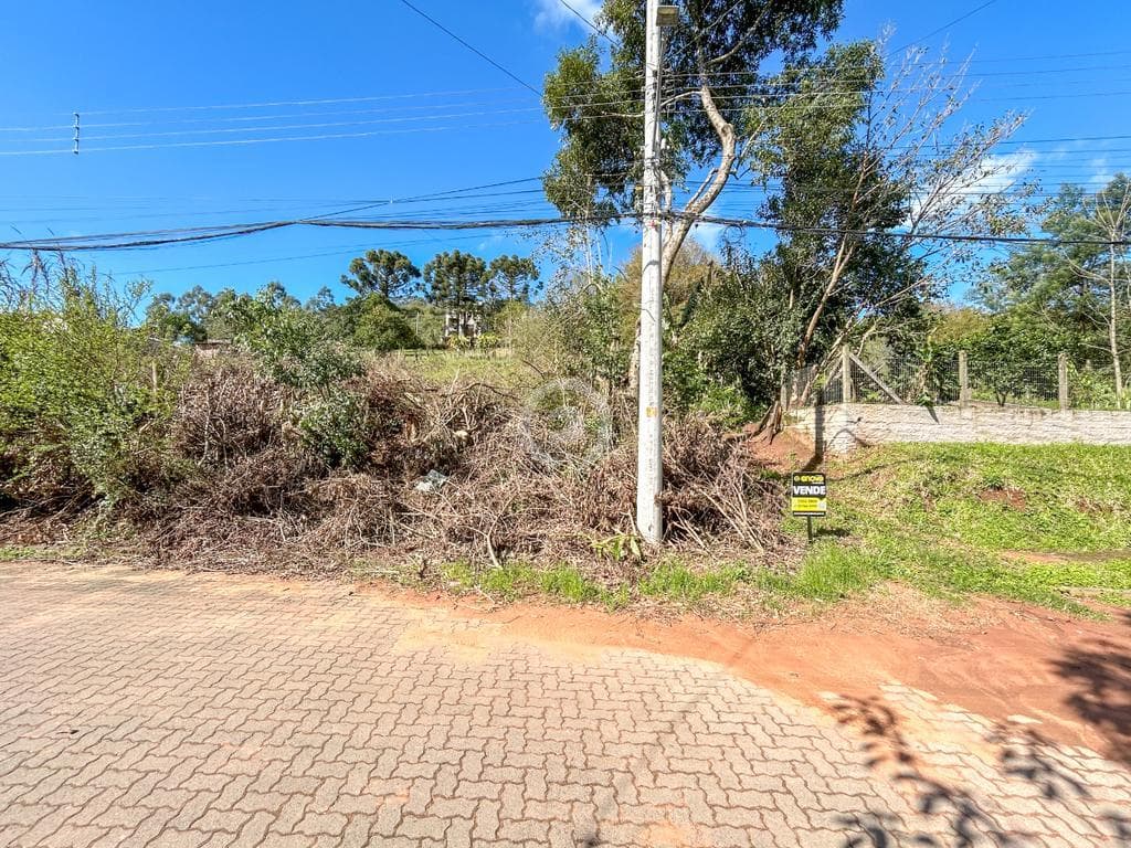 Terreno / Lote no Floresta