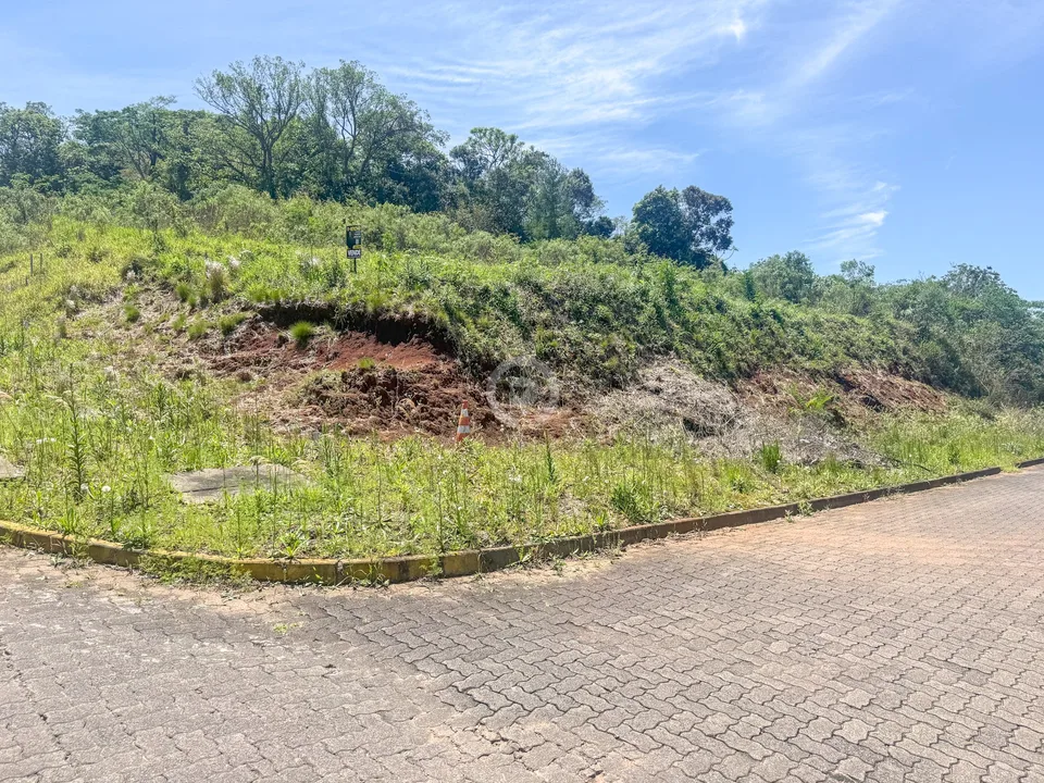 Terreno na Floresta de Estância Velha — foto 10 de 10
