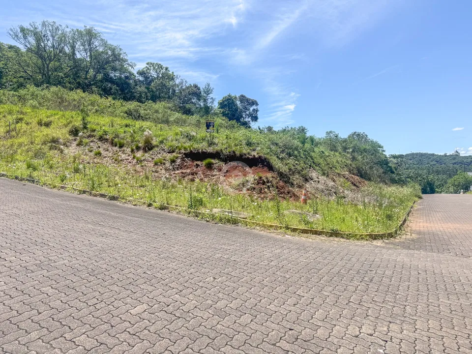 Terreno na Floresta de Estância Velha — foto 9 de 10