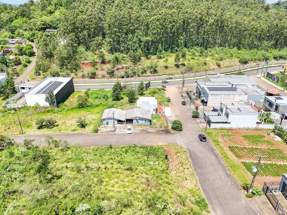 Terreno na Floresta de Estância Velha — foto 3 de 10