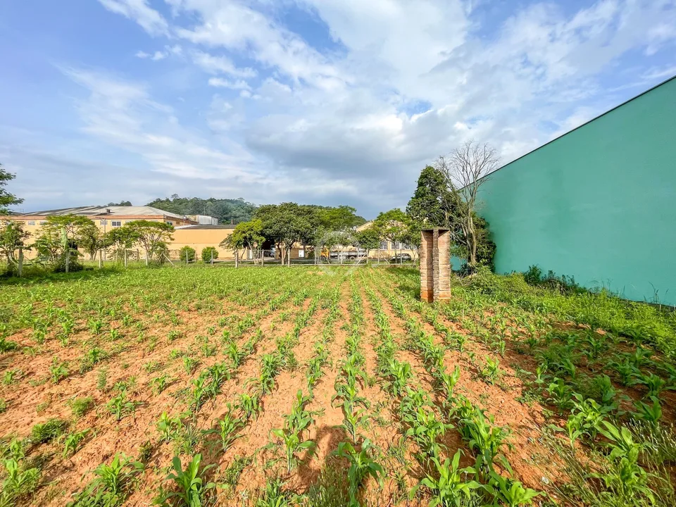 Terreno no Centro de Estância Velha — foto 2 de 13
