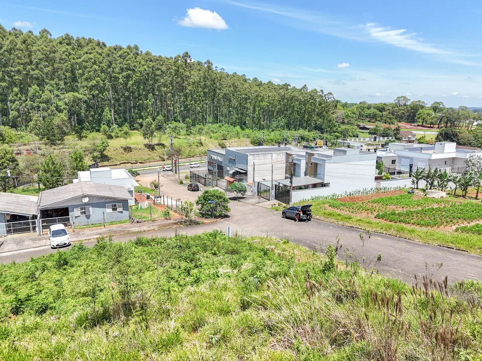 Terreno na Floresta de Estância Velha — foto 4 de 10