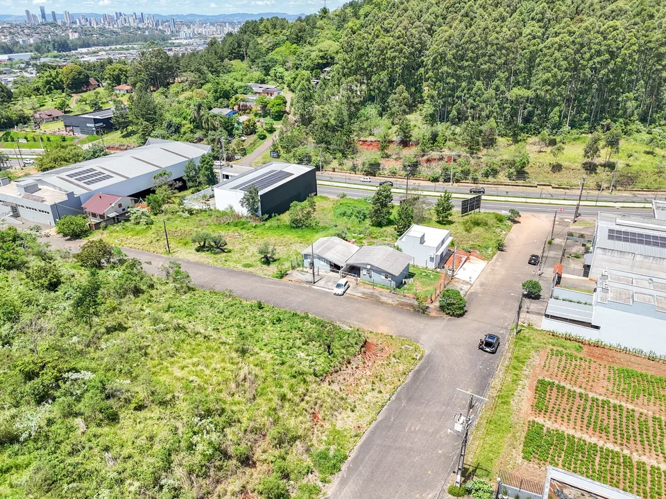 Terreno na Floresta de Estância Velha — foto 2 de 10