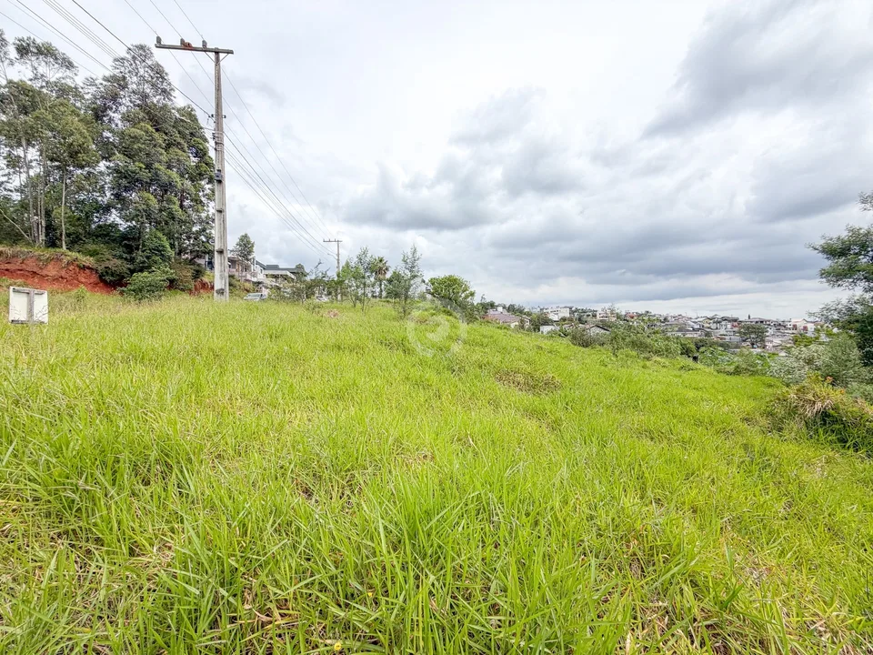 Terreno na Bela Vista de Estância Velha — foto 3 de 15