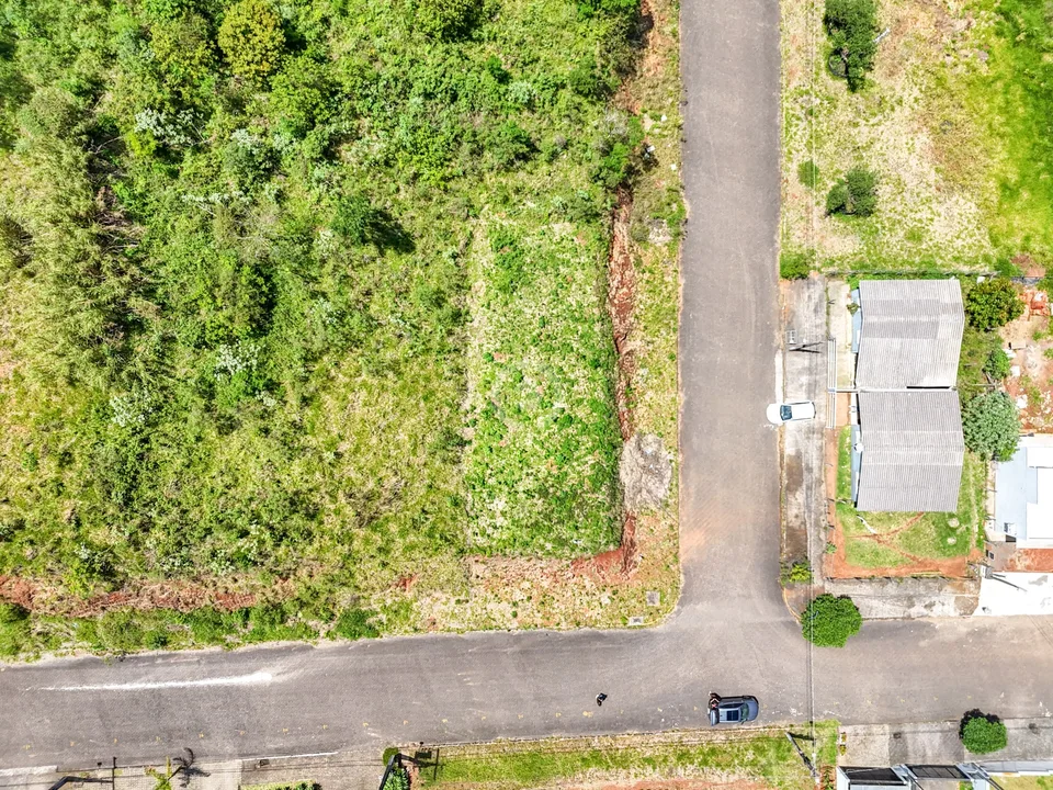 Terreno na Floresta de Estância Velha — foto 6 de 10
